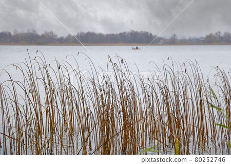 Foggy cloudy autumn morning on the shore of the lake. Foggy cloudy autumn morning on the shore of the lake. 80252746