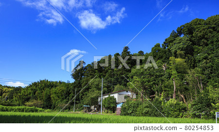 Original landscape 80254853