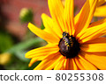 The bee sits on a sunflower on a sunny summer day 80255308
