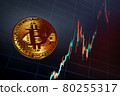 Bitcoin cryptocurrency coin on the background of the chart 80255317