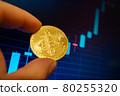 Bitcoin cryptocurrency coin on the background of the chart 80255320