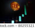 Bitcoin cryptocurrency coin on the background of the chart 80255321