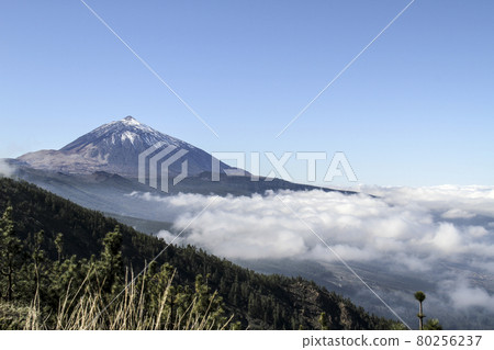 Teide volcano peak with snow in clear day with a white clouds in the foreground 80256237