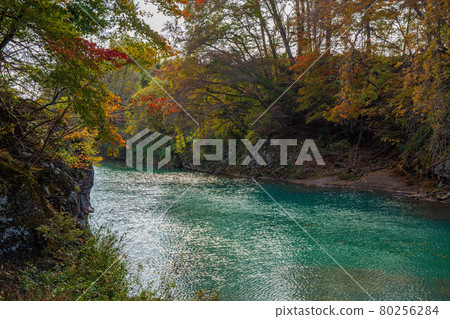 Autumn in Ichinoseki, Iwate: Genbikei Gorge in autumn colors illuminated by the rising sun Autumn in Ichinoseki, Iwate: Genbikei Gorge in autumn colors illuminated by the rising sun 80256284