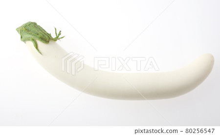 White eggplant 80256547
