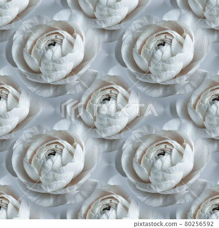 Floral seamless pattern. Abstract floral background, ornament. Bright white flowers texture. Buttercup or Ranunculus pattern 80256592