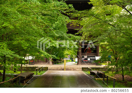 Fresh green in the precincts of Shinjoji Temple 80256655