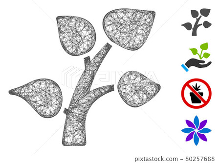 Plant Sprout Web Vector Mesh Illustration 80257688