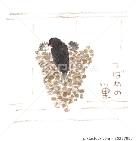 夏日風景：燕子育兒 80257993