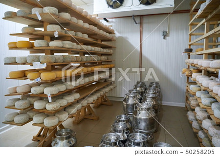 Cheese factory production shelves with aging old cheese Cheese factory production shelves with aging old cheese 80258205