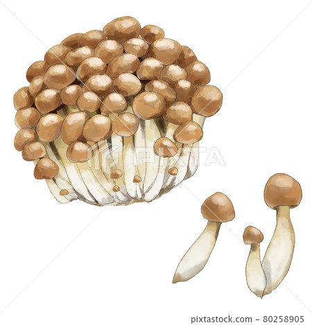 Shimeji set watercolor style 80258905