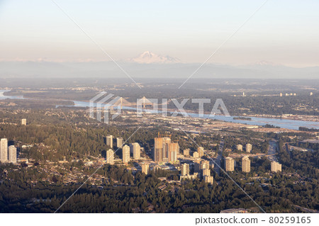 Aerial View from Airplane of Residential Homes and Buildings 80259165