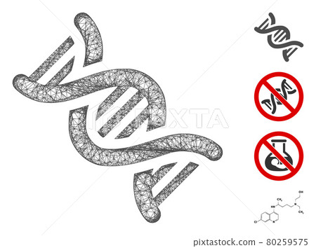 DNA Web Vector Mesh Illustration 80259575