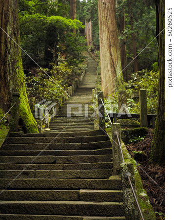 Scenery of stone steps and forest leading to Okunoin in Yamadera Scenery of stone steps and forest leading to Okunoin in Yamadera 80260525