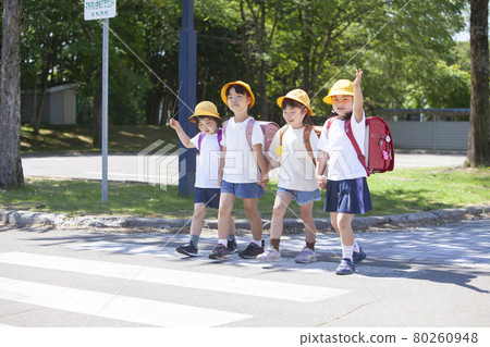 4 elementary school students crossing the pedestrian crossing 4 elementary school students crossing the pedestrian crossing 80260948