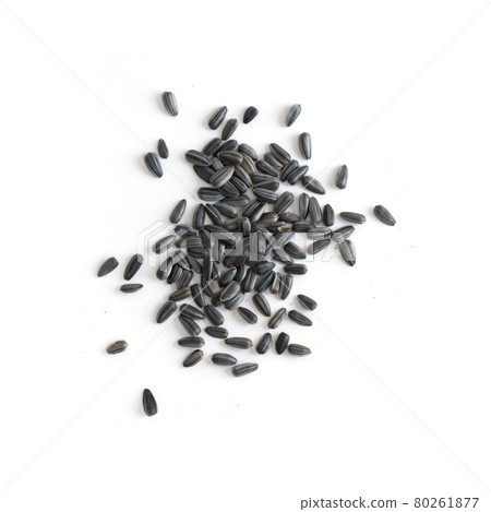 Sunflower seeds spreading isolated on white background. Plant or tree. 80261877