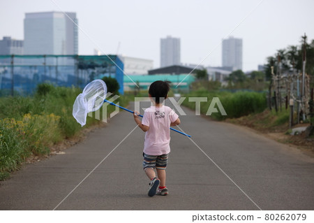 精力充沛的捕蟲男孩暑假 80262079