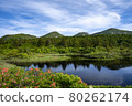 Mizurennuma in early summer, Hakkoda Mountains 80262174