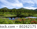Mizurennuma in early summer, Hakkoda Mountains 80262175