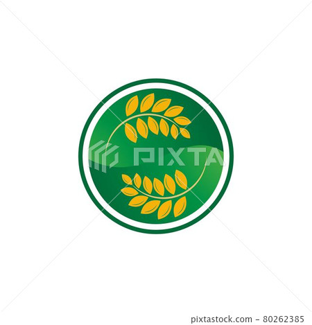 Agriculture wheat rice vector icon design Agriculture wheat rice vector icon design 80262385