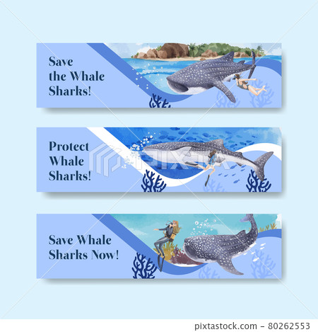 Banner template with international whale shark day concept,watercolor style Banner template with international whale shark day concept,watercolor style 80262553