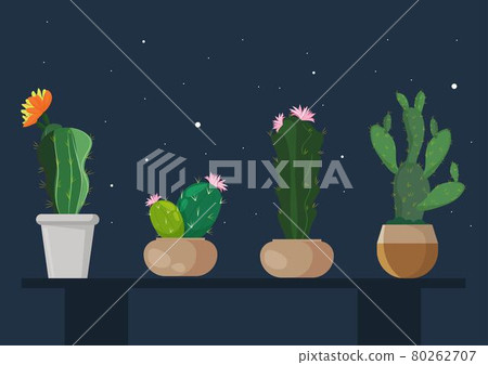 Set of colorful cactus in separate pots on night sky background. Flat style cartoon illustration vector 80262707