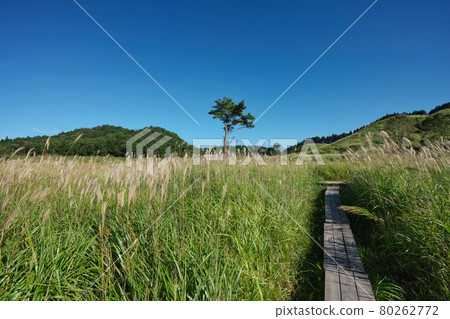 《兵庫縣》晴天，遠峰高原風光【9月】 80262772
