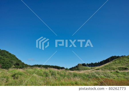 《兵庫縣》晴天，遠峰高原風光【9月】 80262773