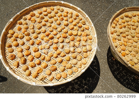 Making dried plums Making dried plums 80262999