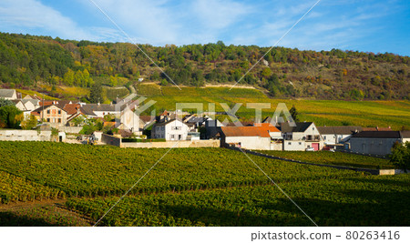 Image of Saint-Aubin, Burgundy - french village with famous vineyards 80263416