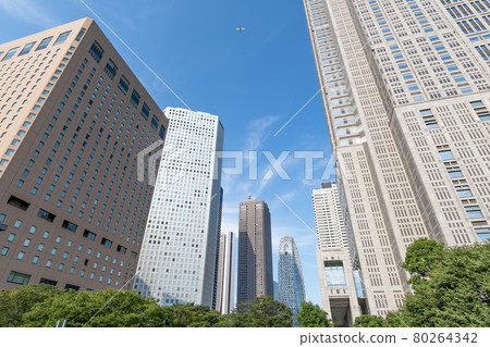 西新宿的高層建築群 西新宿的高層建築群 80264342