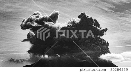 The explosive nature of an ash eruption of the volcano Sakurajima. 80264359