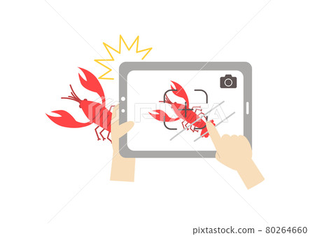 At hand taking a picture of a crayfish with the camera of a tablet terminal 80264660