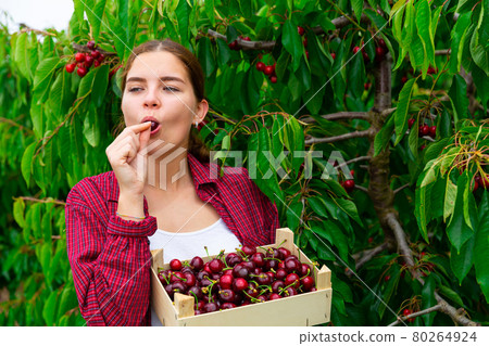 Cheerful girl tasting sweet cherry in farm garden 80264924