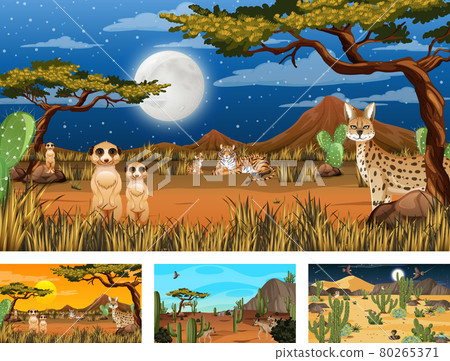 Different scenes with desert forest landscape with animals and plants 80265371