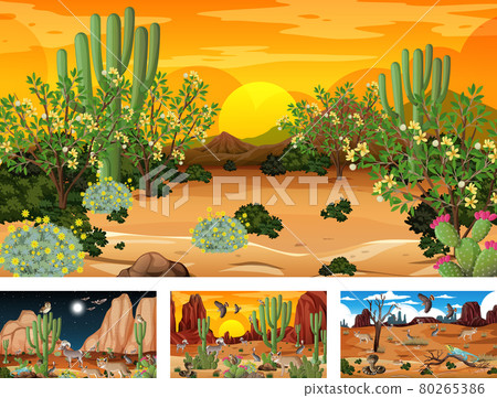 Different scenes with desert forest landscape with animals and plants Different scenes with desert forest landscape with animals and plants 80265386