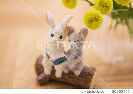 兔子讀黃花卡 80265705