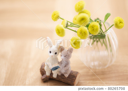 兔子讀黃花卡 兔子讀黃花卡 80265708