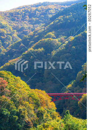 Autumn Matsukawa Valley [Nagano Prefecture] 80267052