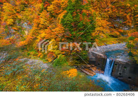 Autumn scenery of Kurobe Gorge Autumn scenery of Kurobe Gorge 80268406