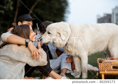 Friends with a dog at picnic 80269173