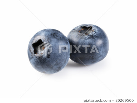 藍莓 80269500