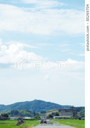Midsummer rural scenery seen from the farm road under the scorching sun Midsummer rural scenery seen from the farm road under the scorching sun 80269704