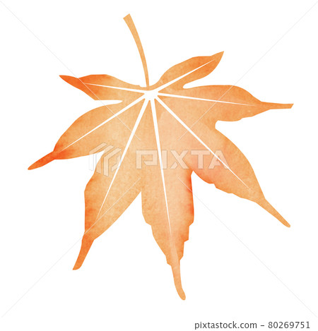 Summer traditions that can be used for summer greetings and late summer greetings Watercolor illustrations / maples and autumn leaves Summer traditions that can be used for summer greetings and late summer greetings Watercolor illustrations / maples and autumn leaves 80269751