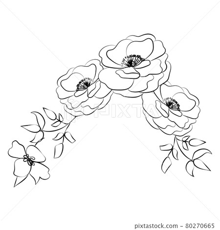 Summer garden blooming flowers monochrome illustration, sketch, hand drawn Summer garden blooming flowers monochrome illustration, sketch, hand drawn 80270665