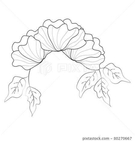 Summer garden blooming flowers monochrome illustration, sketch, hand drawn 80270667