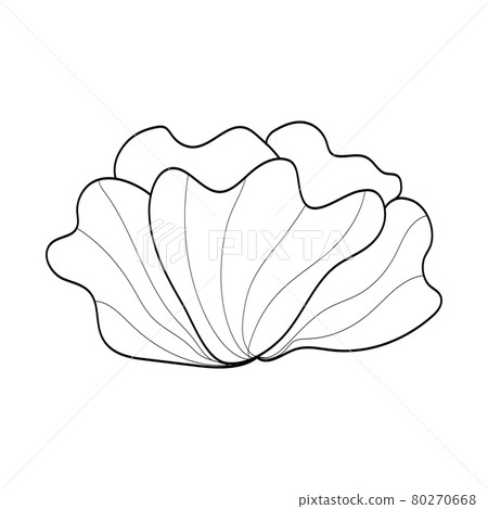 Summer garden blooming flowers monochrome illustration, sketch, hand drawn 80270668