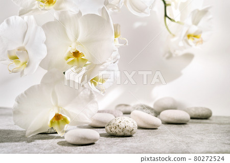 White and grey textured stone podium with sea pebbles, orchid flowers and plant shadow pattern. Mockup for the demonstration of cosmetic products with copy space. 80272524