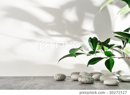 White and grey textured stone podium with sea pebbles, green leaves and plant shadow pattern. Mockup for the demonstration of cosmetic products with copy space. 80272527
