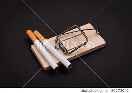 Tobacco Addiction - Cigarettes in Wooden Mousetrap Tobacco Addiction - Cigarettes in Wooden Mousetrap 80273042